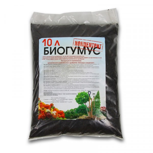 Лучший грунт для комнатных растений – рейтинг готовых решений и советы по применению