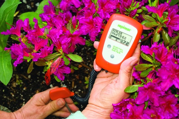 Лучший грунт для комнатных растений – рейтинг готовых решений и советы по применению