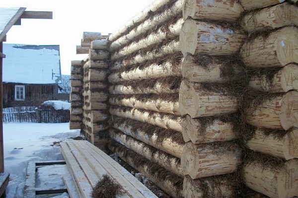 Из какого дерева лучше строить баню: как правильно выбрать материал и не прогадать