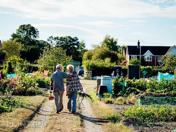 





Обустройство сада и огорода для пожилых владельцев



