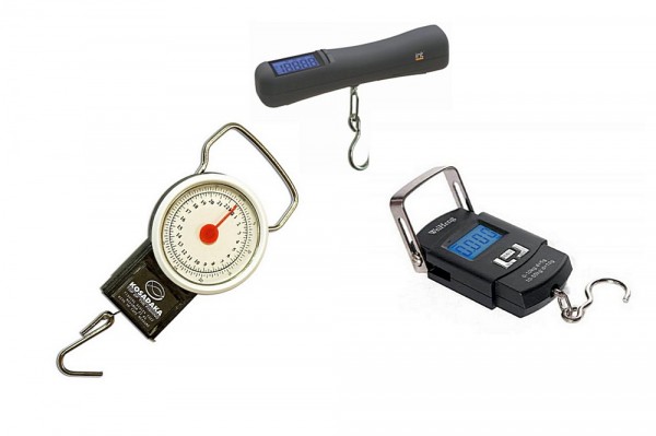 Какие кухонные весы лучше &ndash; как выбрать и рейтинг доступных моделей ТОП-15