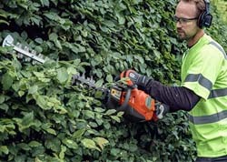 Чем лучше обрезать куст, какой выбрать электрический кусторез: Топ 17 лучших моделей для дачи и дома