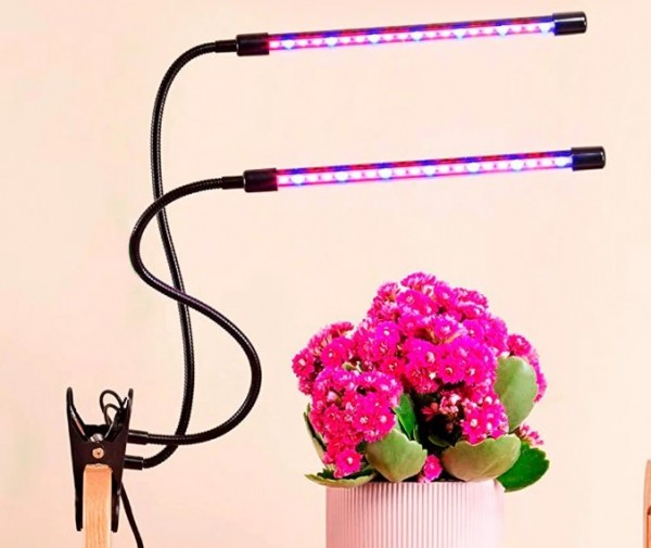 Фитолампа для растений какую выбрать для рассады: рейтинг ТОП-10 лучших моделей