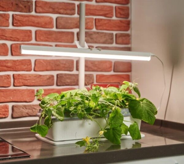 Фитолампа для растений какую выбрать для рассады: рейтинг ТОП-10 лучших моделей