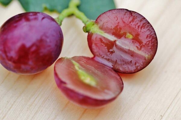 Лучшие сорта винограда: Топ 15 популярных видов для производства вина и употребления в качестве десерта