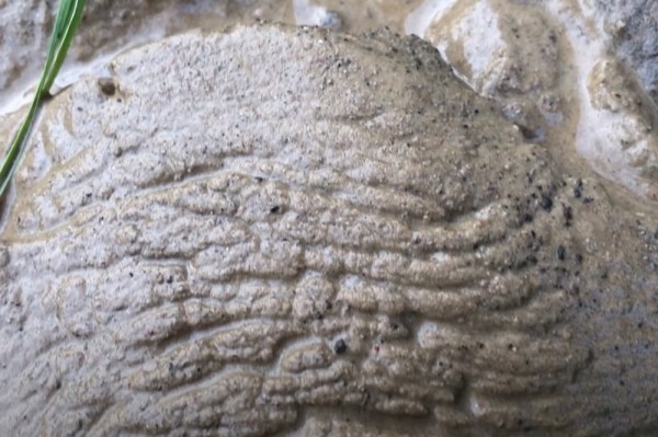 Гидробурение скважины на воду своими руками за 1.5 часа: разбираемся в каких случаях это реально Гидробурение скважины на воду своими руками за 1.5 часа: разбираемся в каких случаях это реально