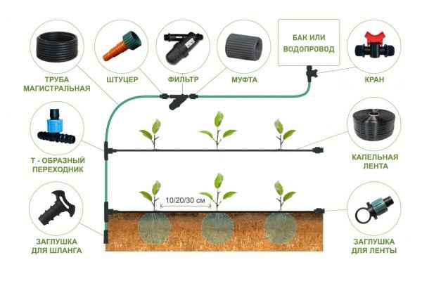 Лучшие сорта томатов для теплицы: Топ 33 видов помидор для выращивания в различных регионах