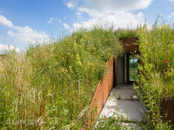 





Современный дом-землянка с минималистичным интерьером



