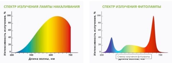 Фитолампа для растений какую выбрать для рассады: рейтинг ТОП-10 лучших моделей