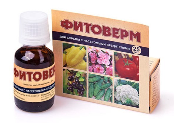 Лучшее средство от клещей: ТОП-16 препаратов для обработки участка, для защиты людей и домашних животных Лучшее средство от клещей: ТОП-16 препаратов для обработки участка, для защиты людей и домашних животных