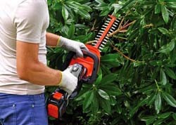 Чем лучше обрезать куст, какой выбрать электрический кусторез: Топ 17 лучших моделей для дачи и дома