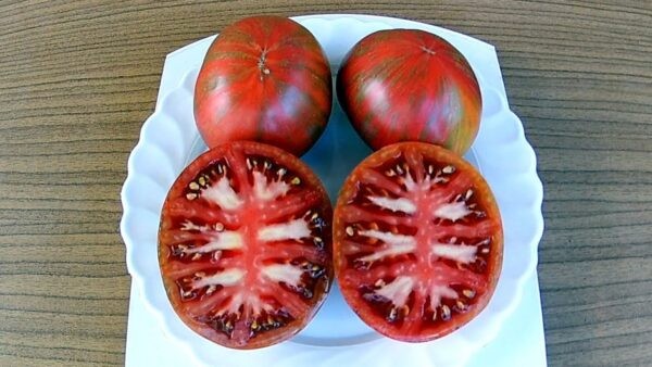 Лучшие сорта томатов для теплицы: Топ 33 видов помидор для выращивания в различных регионах