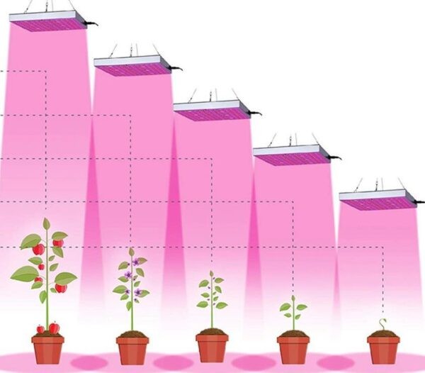 Фитолампа для растений какую выбрать для рассады: рейтинг ТОП-10 лучших моделей