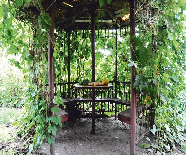 Строительство беседки своими руками: поэтапная инструкция с пояснениями Строительство беседки своими руками: поэтапная инструкция с пояснениями