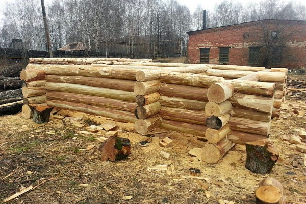 Из какого дерева лучше строить баню: как правильно выбрать материал и не прогадать