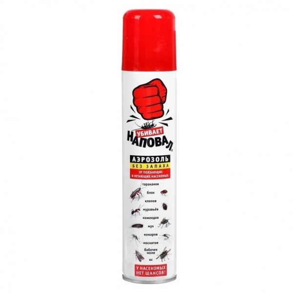 Лучшее средство от моли в квартире: Топ 16 эффективных препаратов и лучшие народные средства Лучшее средство от моли в квартире: Топ 16 эффективных препаратов и лучшие народные средства