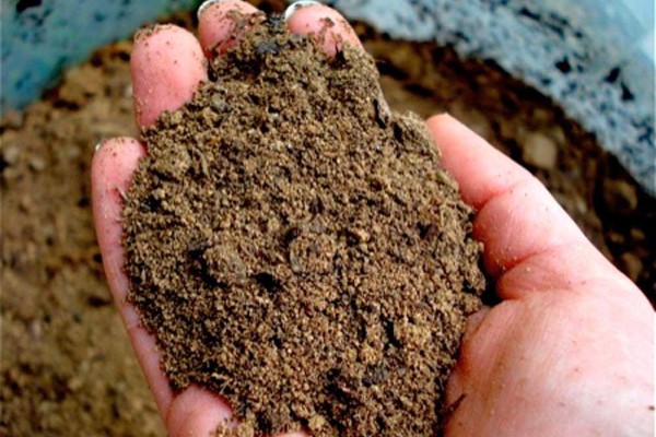 Какой фундамент выбрать для бани из бруса: рассматриваем самые популярные варианты Какой фундамент выбрать для бани из бруса: рассматриваем самые популярные варианты