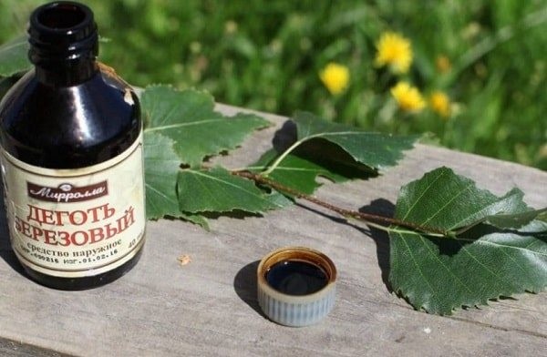 Лучшее средство от клещей: ТОП-16 препаратов для обработки участка, для защиты людей и домашних животных Лучшее средство от клещей: ТОП-16 препаратов для обработки участка, для защиты людей и домашних животных