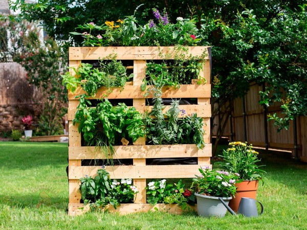 





Обустройство сада и огорода для пожилых владельцев



