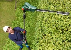 Чем лучше обрезать куст, какой выбрать электрический кусторез: Топ 17 лучших моделей для дачи и дома