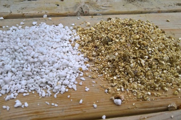 Лучший грунт для комнатных растений – рейтинг готовых решений и советы по применению