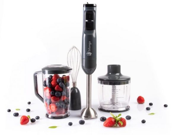 Какой блендер лучше: погружной или стационарный, разбираемся в вариантах Какой блендер лучше: погружной или стационарный, разбираемся в вариантах