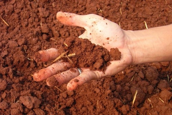 Какой фундамент выбрать для бани из бруса: рассматриваем самые популярные варианты Какой фундамент выбрать для бани из бруса: рассматриваем самые популярные варианты