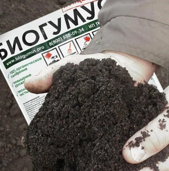 Лучшее удобрение для картофеля: Топ 12 лучших средств, самые эффективные разновидности удобрений