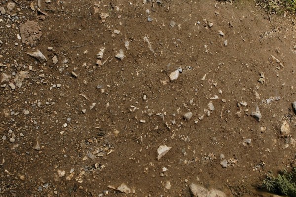 Какой фундамент выбрать для бани из бруса: рассматриваем самые популярные варианты Какой фундамент выбрать для бани из бруса: рассматриваем самые популярные варианты