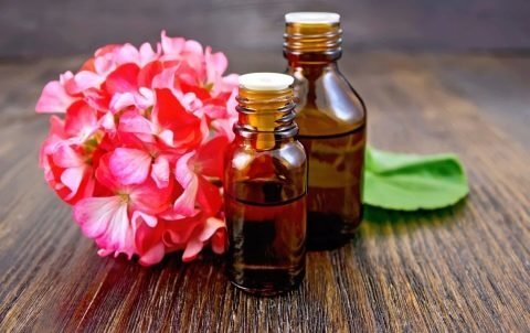 Лучшее средство от клещей: ТОП-16 препаратов для обработки участка, для защиты людей и домашних животных Лучшее средство от клещей: ТОП-16 препаратов для обработки участка, для защиты людей и домашних животных