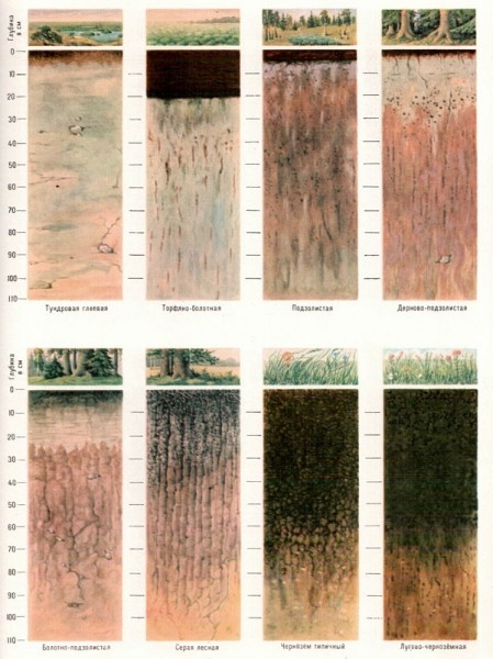 Какой бывает фундамент для дома: типы оснований, области применения