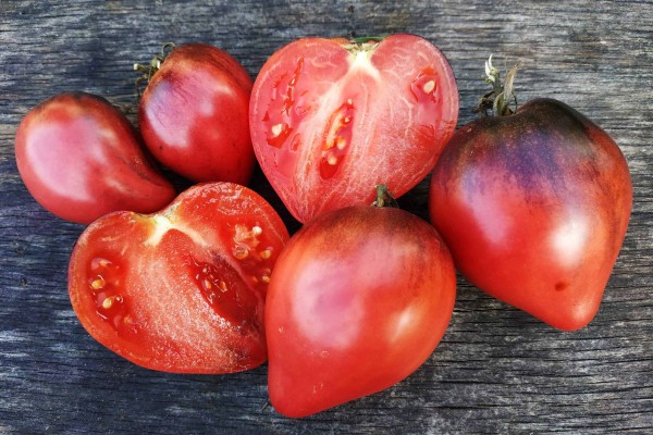 Лучшие сорта томатов для теплицы: Топ 33 видов помидор для выращивания в различных регионах