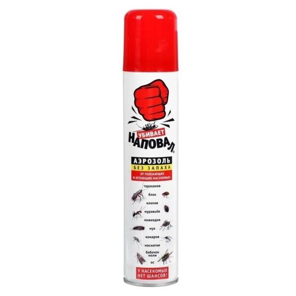 Лучшее средство от моли в квартире: Топ 16 эффективных препаратов и лучшие народные средства Лучшее средство от моли в квартире: Топ 16 эффективных препаратов и лучшие народные средства