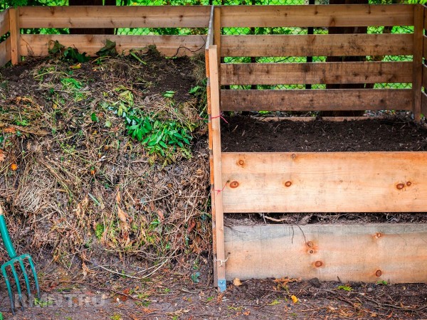Как выбрать оптимальное место для компостной кучи или контейнера
Как выбрать оптимальное место для компостной кучи или контейнера