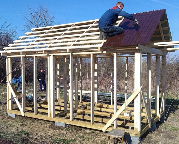 Из какого дерева лучше строить баню: как правильно выбрать материал и не прогадать