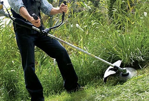 Чем лучше обрезать куст, какой выбрать электрический кусторез: Топ 17 лучших моделей для дачи и дома