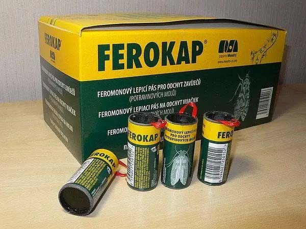 Лучшее средство от моли в квартире: Топ 16 эффективных препаратов и лучшие народные средства Лучшее средство от моли в квартире: Топ 16 эффективных препаратов и лучшие народные средства