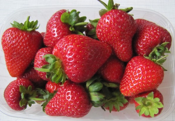 Лучшие ремонтантные сорта клубники: Топ 19 популярных видов, особенности и правила выращивания Лучшие ремонтантные сорта клубники: Топ 19 популярных видов, особенности и правила выращивания