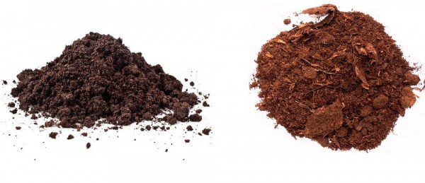 Лучший грунт для комнатных растений – рейтинг готовых решений и советы по применению