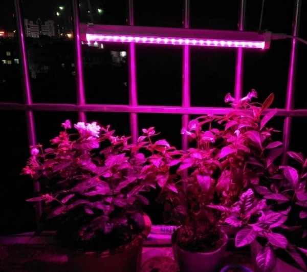 Фитолампа для растений какую выбрать для рассады: рейтинг ТОП-10 лучших моделей