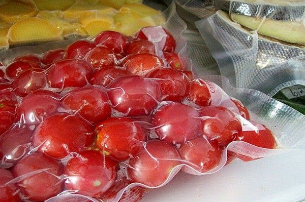 Какой выбрать вакуумный упаковщик для дома — рекомендации и рейтинг ТОП-10