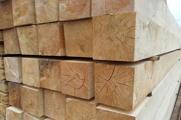 Из какого дерева лучше строить баню: как правильно выбрать материал и не прогадать