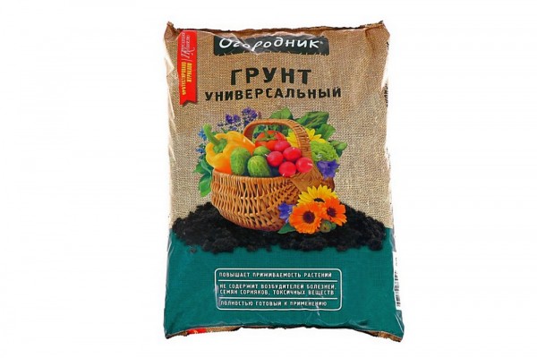 Лучший грунт для комнатных растений – рейтинг готовых решений и советы по применению