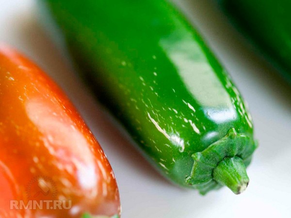 Когда собирать урожай перца халапеньо
Когда собирать урожай перца халапеньо