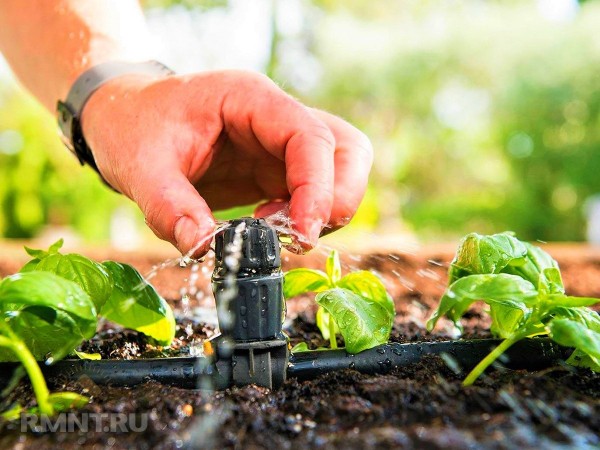 Что увеличивает счета за электричество летом
Что увеличивает счета за электричество летом