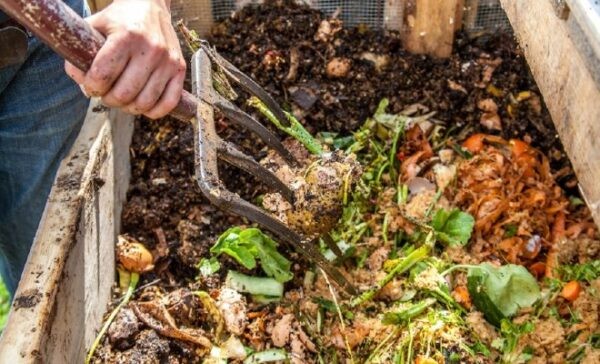 Лучшее удобрение для картофеля: Топ 12 лучших средств, самые эффективные разновидности удобрений