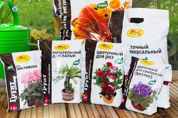 Лучший грунт для комнатных растений – рейтинг готовых решений и советы по применению