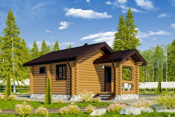 Из какого дерева лучше строить баню: как правильно выбрать материал и не прогадать