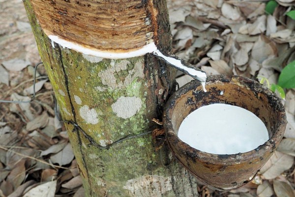 Какой наполнитель для матраса лучше выбрать – особенности, достоинства и недостатки натуральных, синтетических и комбинированных материалов