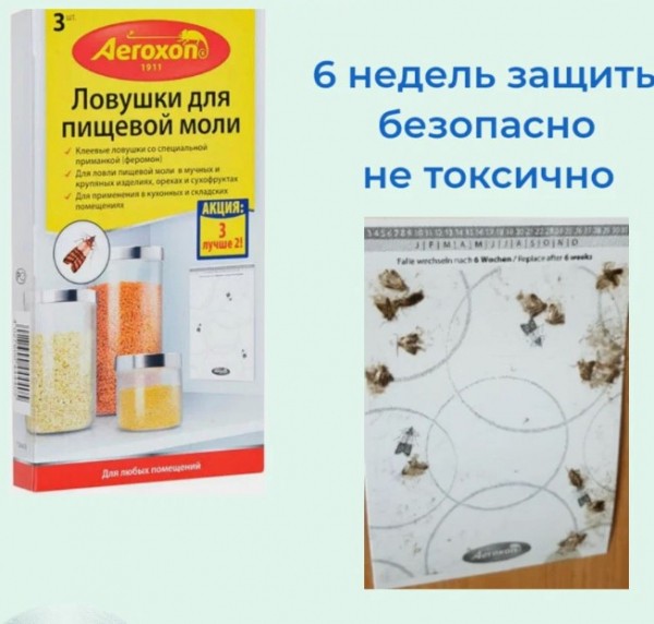 Лучшее средство от моли в квартире: Топ 16 эффективных препаратов и лучшие народные средства Лучшее средство от моли в квартире: Топ 16 эффективных препаратов и лучшие народные средства